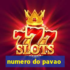 numero do pavao